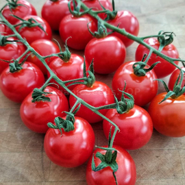 Фото «Chadwick cherry» - Organic Tomato Seeds