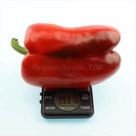 «Red giant» - Organic Pepper Seeds