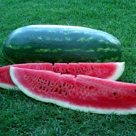 «Favourite» - Organic Watermelon Seeds