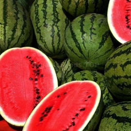 «Arsenal» - Organic Watermelon Seeds
