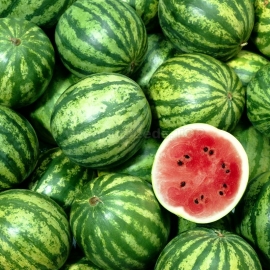 «Sicheslav» - Organic Watermelon Seeds