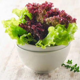 «Balcony mix» - Organic Salad Seeds