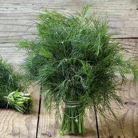 «Roomed» - Organic Dill Seeds