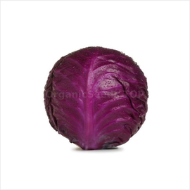 «Langesvyt red» - Organic Cabbage Seeds
