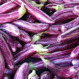 «Striped Long» - Organic Eggplant Seeds