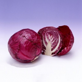 «Garnet» - Organic Cabbage Seeds