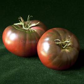 «Pierce's Pride» - Organic Tomato Seeds