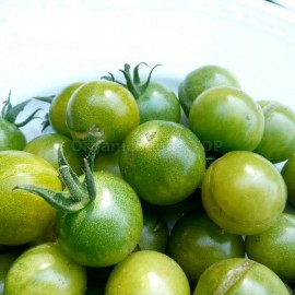 «Green Doctors Frosted» - Organic Tomato Seeds