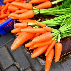 «Kyiv Winter» - Organic Carrot Seeds