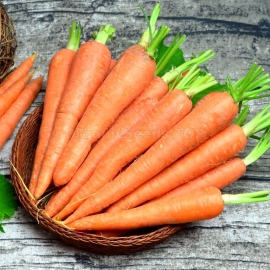 «Sweet Winter» - Organic Carrot Seeds