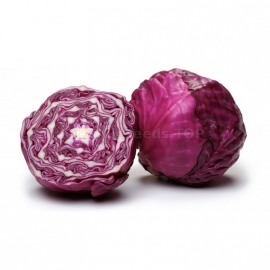 «Ruby Ball» - Organic Cabbage Seeds