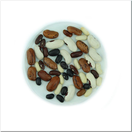 «Mix» - Organic Bean Seeds