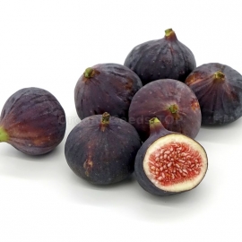 Organic Common Fig Seeds (Ficus Carica)