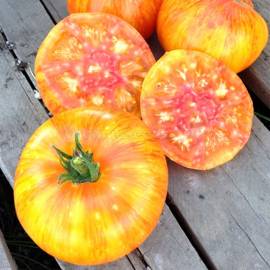 «Beauty King» - Organic Tomato Seeds