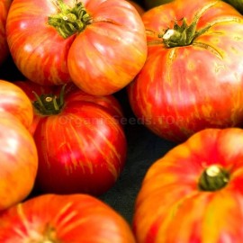 «Big Rainbow» - Organic Tomato Seeds