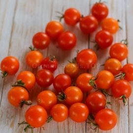 «Red Bullet» - Organic Tomato Seeds