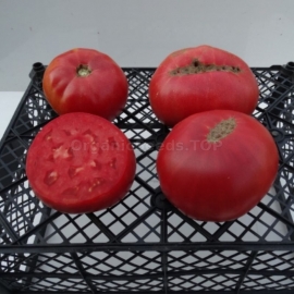 «Mawlenowe» - Organic Tomato Seeds
