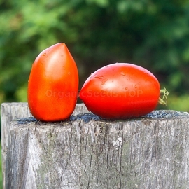 «Kenosha Paste» - Organic Tomato Seeds