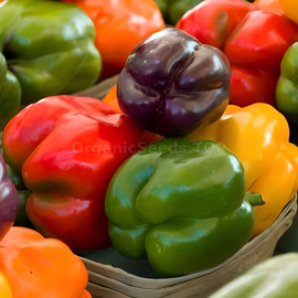 «Rainbow bells» - Organic Pepper Seeds
