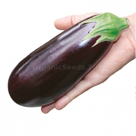 «Violet Miracle» - Organic Eggplant Seeds