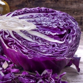 «Mulatto» - Organic Cabbage Seeds