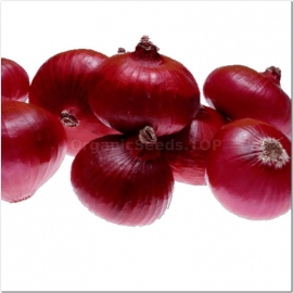 «Mavka» - Organic Onion Seeds