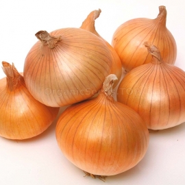 «Tkachevsky» - Organic Onion Seeds