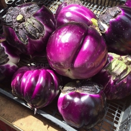 «Helios» - Organic Eggplant Seeds