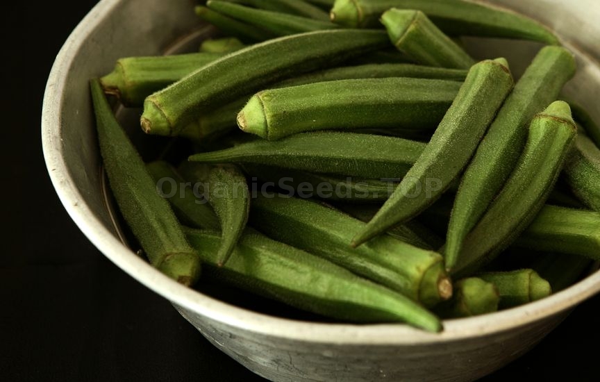 How to Growing Okra