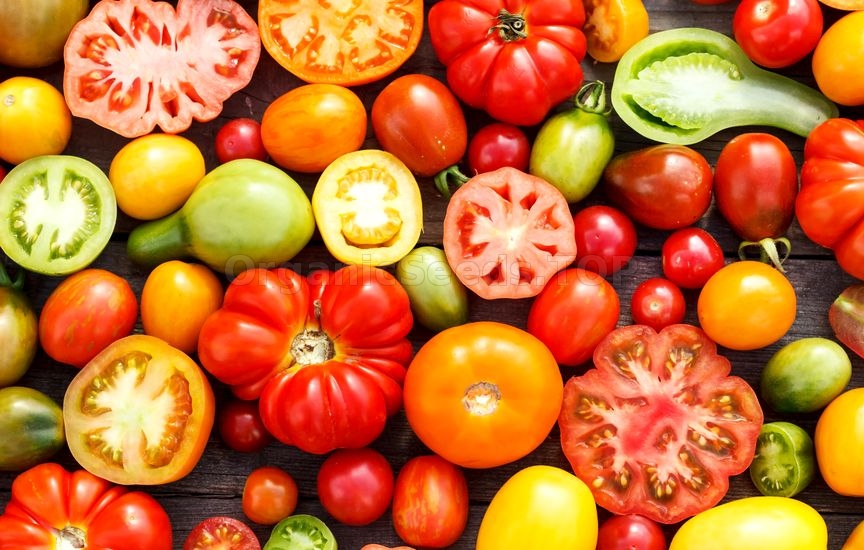 A Guide to Heirloom Tomatoes