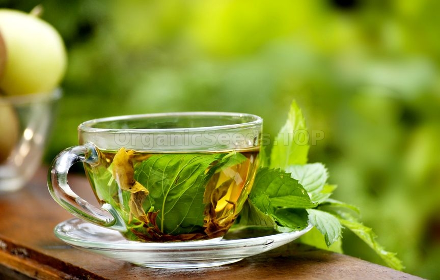 9 Amazing Benefits of Peppermint Tea