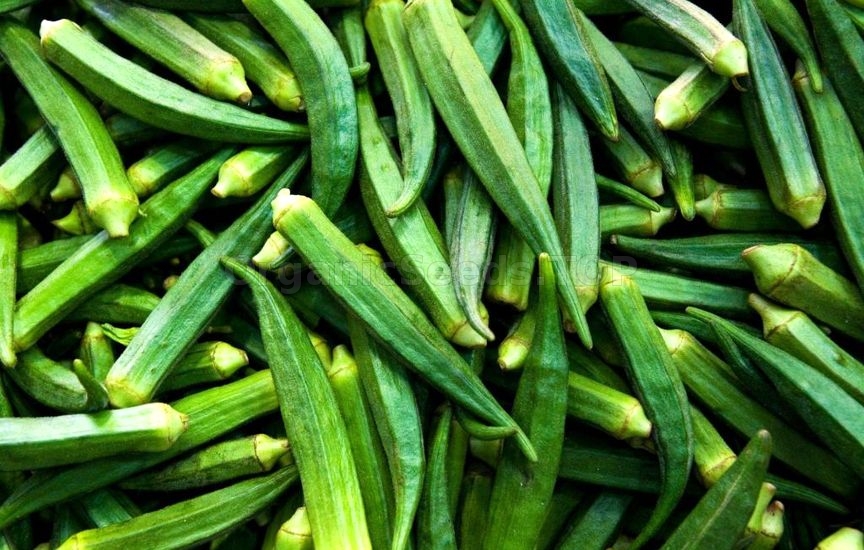 How to Growing Okra