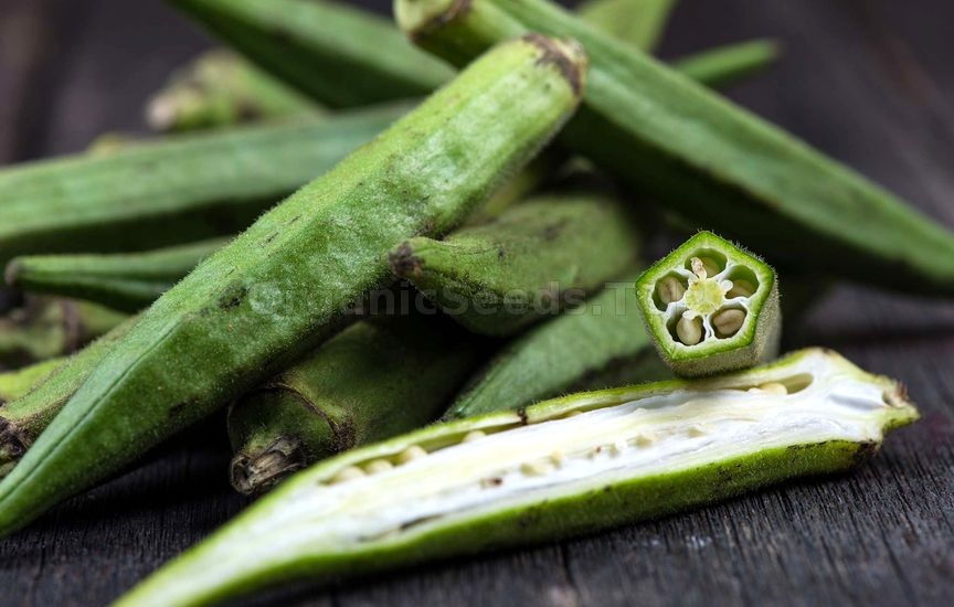 How to Growing Okra