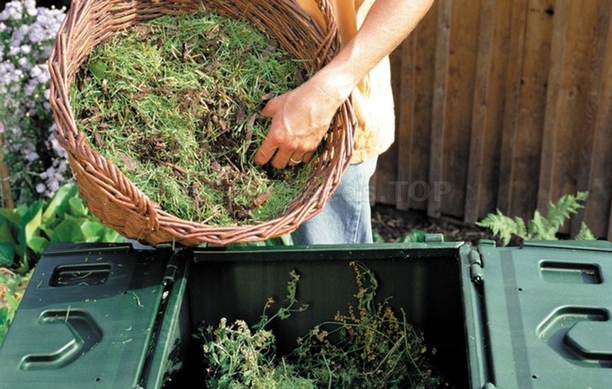 Prepare your compost