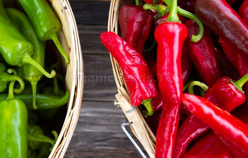 Guide to Growing Peppers