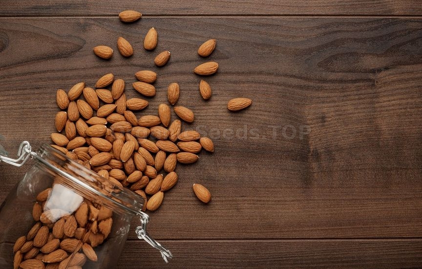 Almond Nuts Benefits