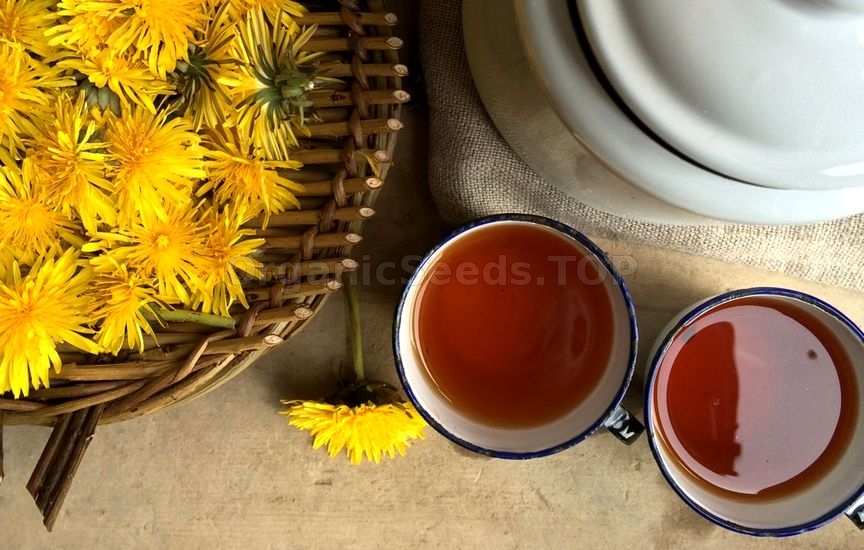 11 Benefits of Dandelion Tea