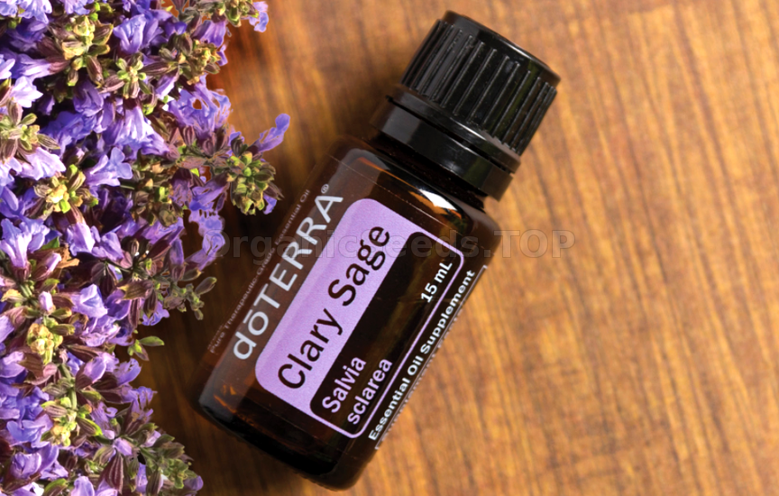 Benefits of Clary Sage Oil