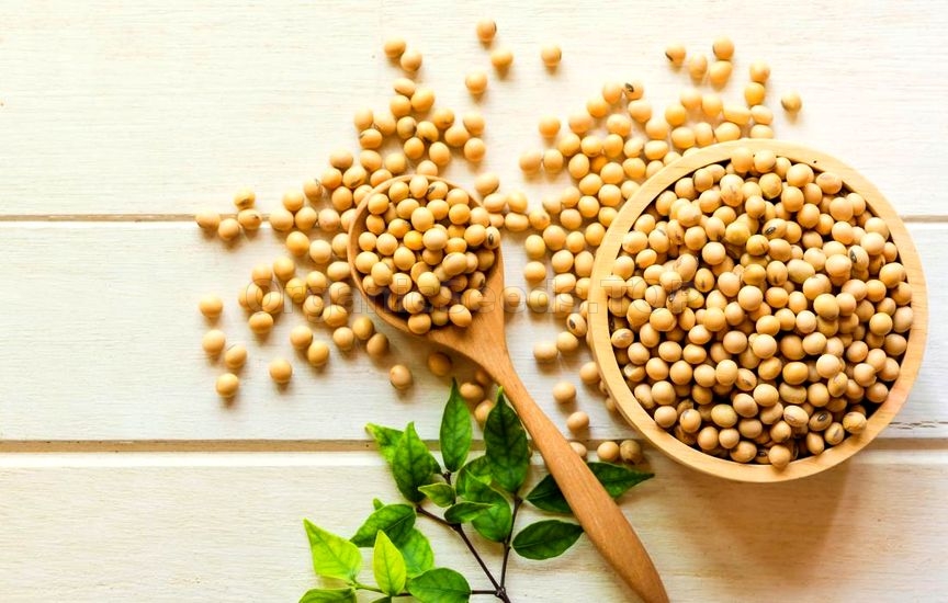 Benefits of Soybeans