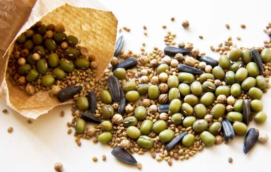 Scarification, impaction and stratification of seeds