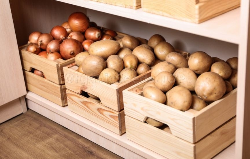 How to store potatoes to prevent sprouting