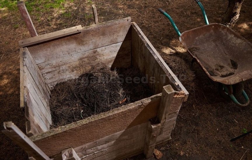 Homemade organic fertilizer: compost, infusions, and ash