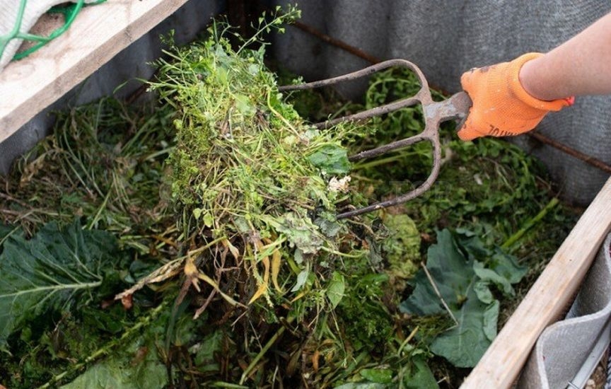 Useful life hacks for the garden in October