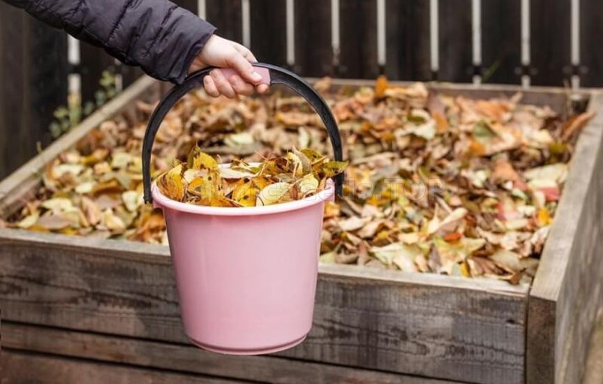 Useful life hacks for the garden in October