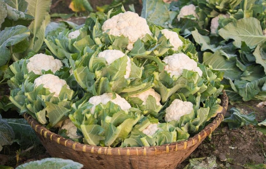 Three secrets to luxurious cauliflower
