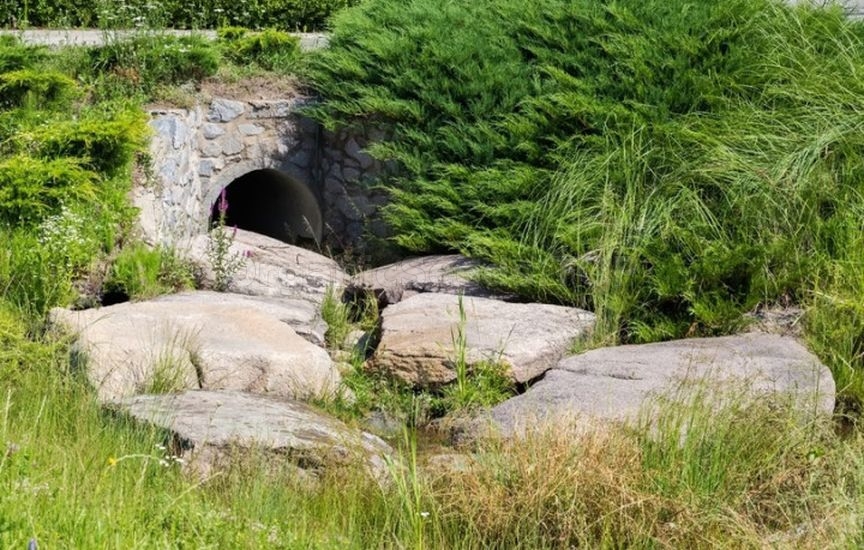 Juniper planting ideas: 9 stylish combinations Juniper planting ideas: 9 stylish combinations