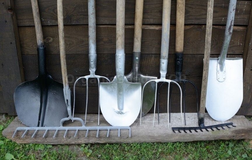 Useful life hacks for the garden in October