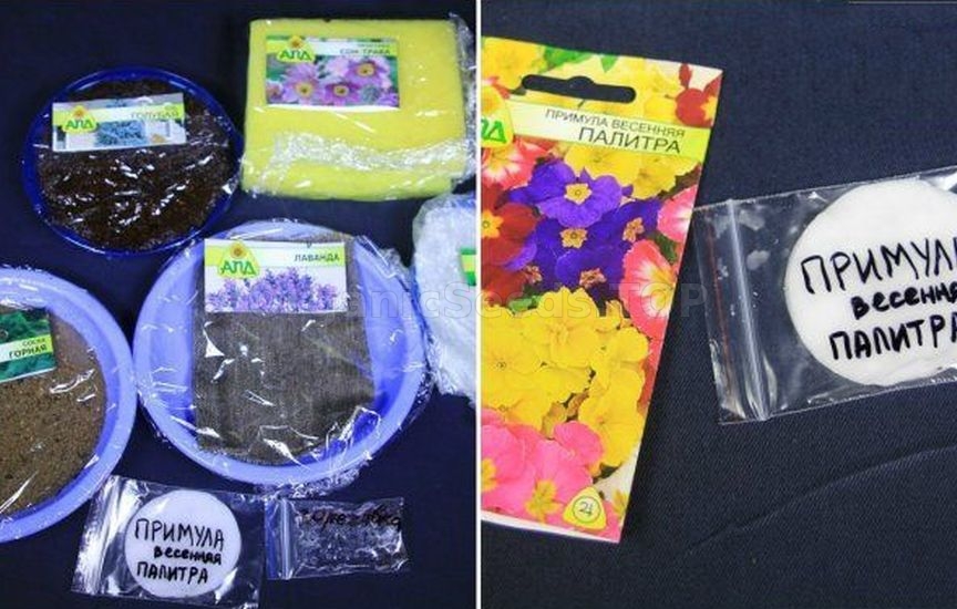 3 best ways to stratify seeds