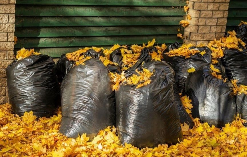 Useful life hacks for the garden in October