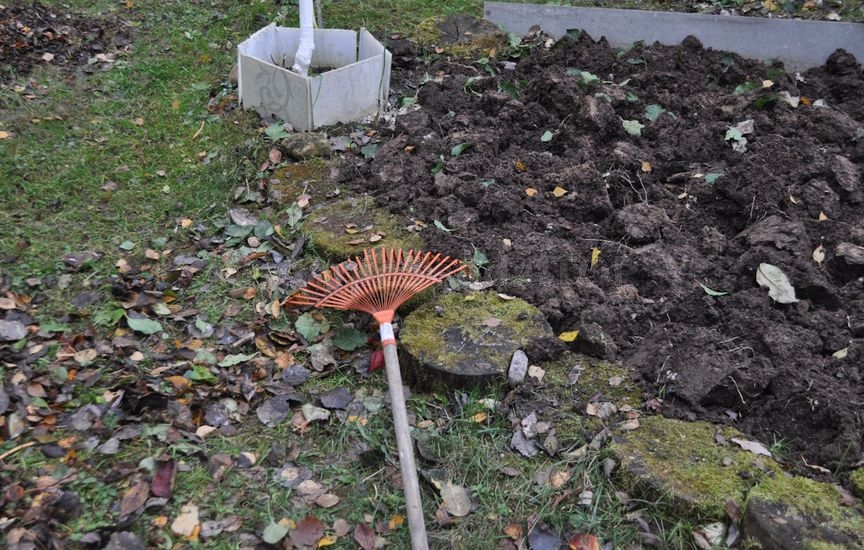 What to sow in vacant garden beds in late September